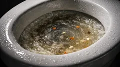 Cosa non buttare nel WC per evitare intasamenti: guida pratica per casa