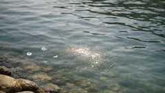 Microplastiche “invisibili”: come il sole le trasforma in sostanze disciolte nell’acqua