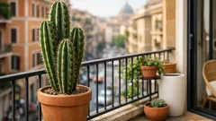 Cactus sul balcone: dove metterlo secondo il feng shui per proteggere la casa