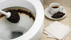 Fondi di caffè nel WC: il trucco per pulire e togliere odori senza intasare lo scarico